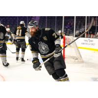 Henderson Silver Knights forward Mitch McLain