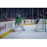 Savannah Ghost Pirates goaltender Vinnie Purpura