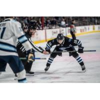 Wenatchee Wild forward Caelan Joudrey