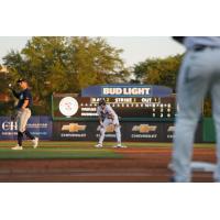 Charleston RiverDogs on base