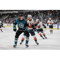 San Jose Barracuda forward Quentin Musty vs. the Coachella Valley Firebirds