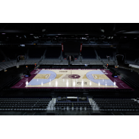 Toronto Tempo Unveils court
