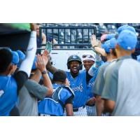 Brando Mayea of the Tampa Tarpons