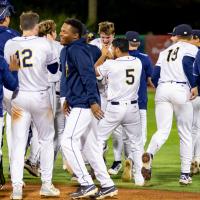Charleston RiverDogs exchange congratulations after a walk-off win