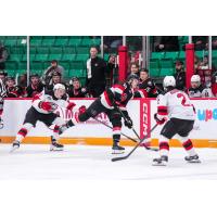 Belleville Senators centre Philippe Daoust vs. the Belleville Senators