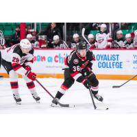 Belleville Senators right wing Luke Mistelbacher vs. the Belleville Senators