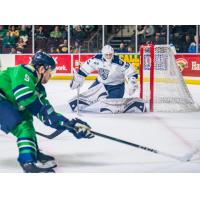 Worcester Railers goaltender Thomas Gale