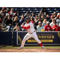 Vinny Capra of the Worcester Red Sox