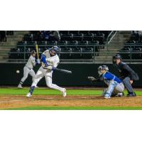 Tri-City Dust Devils at the plate