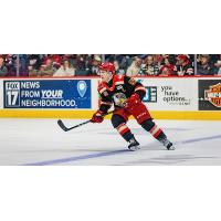 Grand Rapids Griffins forward Dominik Shine