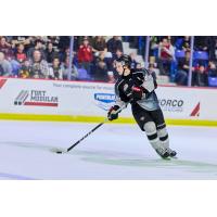 Vancouver Giants forward Mathis Preston