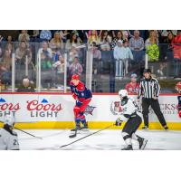 Allen Americans forward Danny Katic