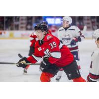 Adirondack Thunder forward Brannon McManus