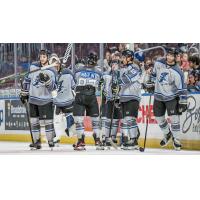 Wichita Thunder on the ice