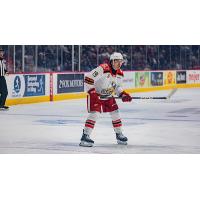 Grand Rapids Griffins forward John Leonard