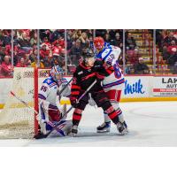 Kitchener Rangers goaltender Christian Kirsch and defenceman Alexander Bilecki vs. the Soo Greyhounds