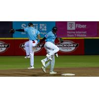 Hickory Crawdads celebrate in the field