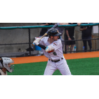 Long Island Ducks infielder Austin Dennis