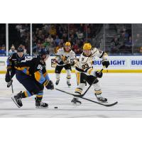 Wheeling Nailers forward Brayden Edwards (right)