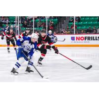 Syracuse Crunch forward Gabriel Szturc vs. the Belleville Senators