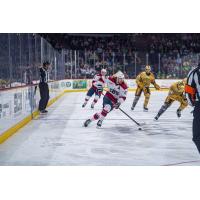 South Carolina Stingrays forward Simon Pinard with the puck