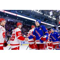 Kitchener Rangers shake hands with the Soo Greyhounds