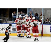 Grand Rapids Griffins on game night
