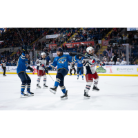 Springfield Thunderbirds react following a goal