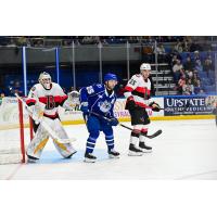 Syracuse Crunch forward Dylan Duke vs. the Belleville Senators