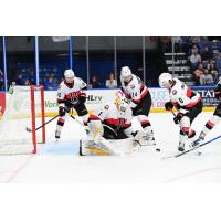 Belleville Senators goaltender Kaidan Mbereko smothers the puck against the Syracuse Crunch