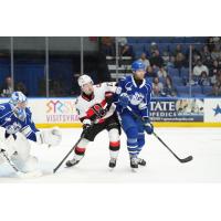 Belleville Senators right wing Xavier Bourgault vs. the Syracuse Crunch