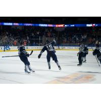 Worcester Railers forward Gleb Veremyev reacts after his overtime winner
