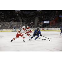 Grand Rapids Griffins left wing Dylan James (left) reaches for the puck against the Cleveland Monsters