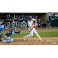 Tri-City Dust Devils at the plate
