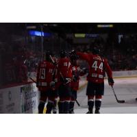 South Carolina Stingrays celebrate a goal