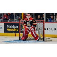 Grand Rapids Griffins goaltender Michal Postava