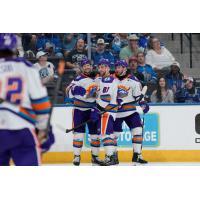 Orlando Solar Bears are all smiles after a goal