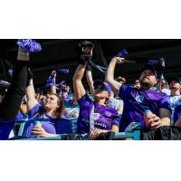 Louisville City FC supporters