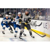 Henderson Silver Knights forward Mitch McLain
