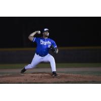 RHP Nelson Mercado with the Guelph Royals