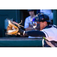 Charleston RiverDogs catcher Caden Bodine