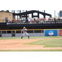 Montgomery Biscuits second baseman Jadher Areinamo