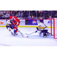 South Carolina Stingrays forward Simon Pinard eyes the goal