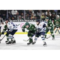 Penticton Vees battle the Everett Silvertips