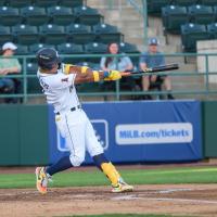 Tri-City Dust Devils right fielder Randy De Jesus
