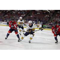 Atlanta Gladiators defenseman Cam Gaudette vs. the South Carolina Stingrays