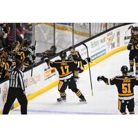 Wheeling Nailers goal celebration