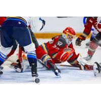 Ottawa Charge goaltender Gwyneth Philips pounces on a loose puck