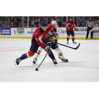 South Carolina Stingrays forward Stanley Cooley