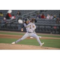 Charleston RiverDogs pitcher Aidan Cremarosa